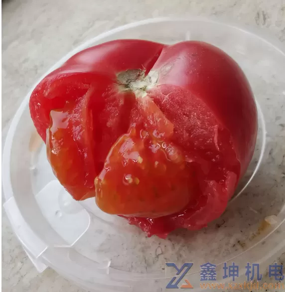 你不知道的知识之西红柿有什么功效？(pic2)