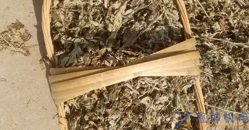 端午前一定用它煮水，能把恶寒、湿气、病毒统 统扫除！(pic1)
