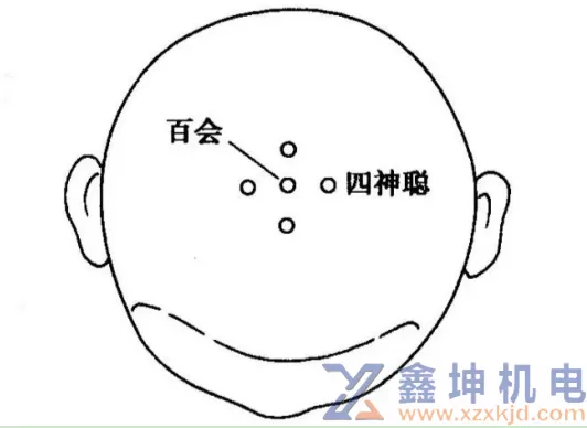 一招教你解决“春困秋乏夏打盹”(pic3)