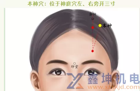 一招教你解决“春困秋乏夏打盹”(pic2)