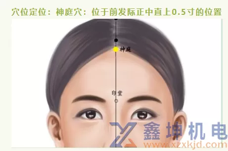 一招教你解决“春困秋乏夏打盹”(pic1)