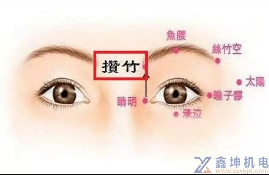 预防近视，缓解疲劳-黄帝扶阳护眼操