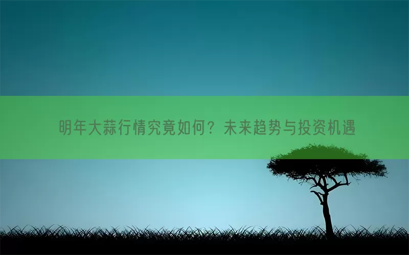 明年大蒜行情究竟如何？未来趋势与投资机遇