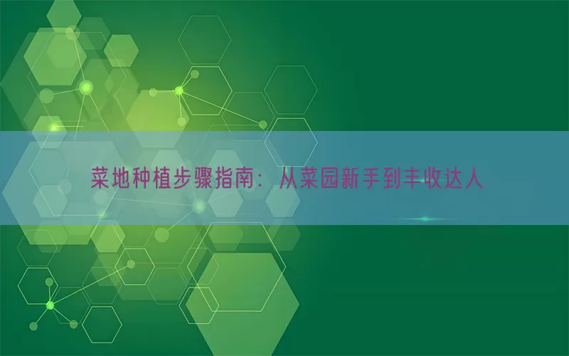 菜地种植步骤指南：从菜园新手到丰收达人