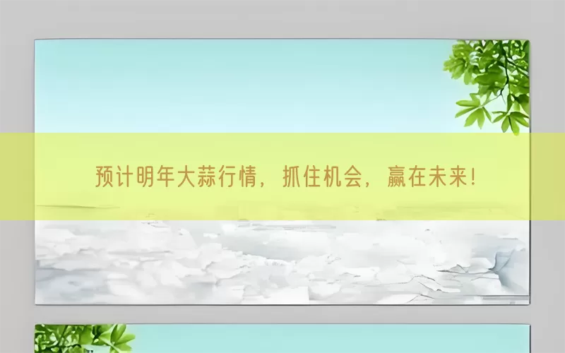 预计明年大蒜行情，抓住机会，赢在未来！