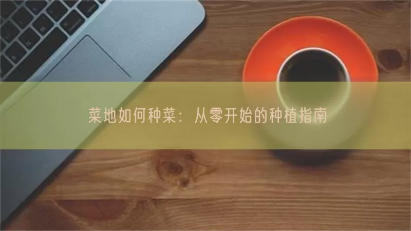 菜地如何种菜：从零开始的种植指南