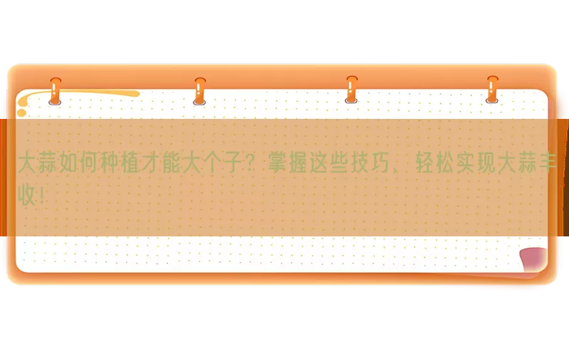 大蒜如何种植才能大个子？掌握这些技巧，轻松实现大蒜丰收！