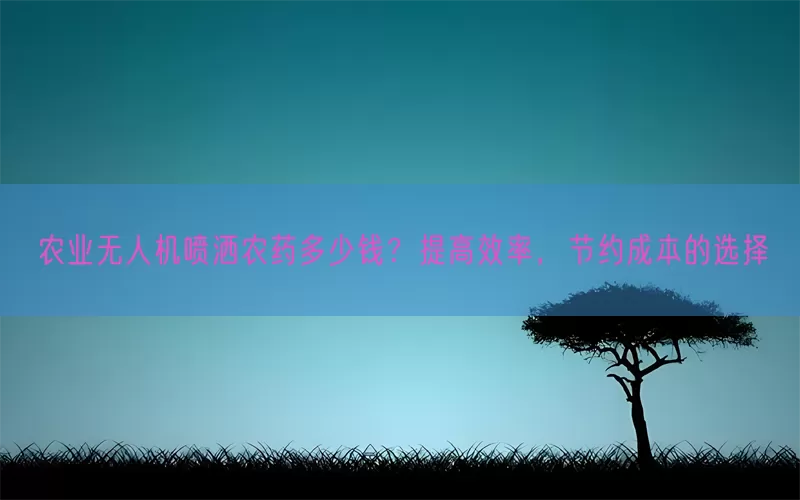 农业无人机喷洒农药多少钱？提高效率，节约成本的选择