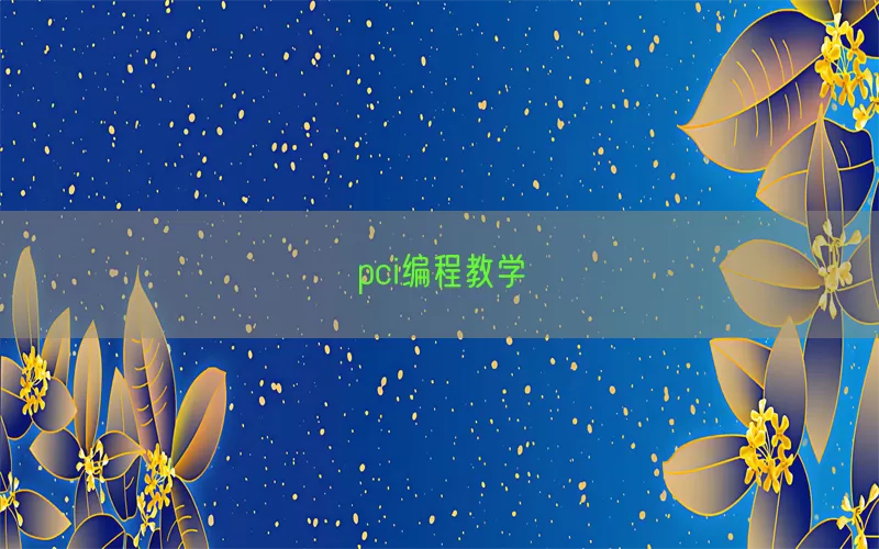 pci编程教学