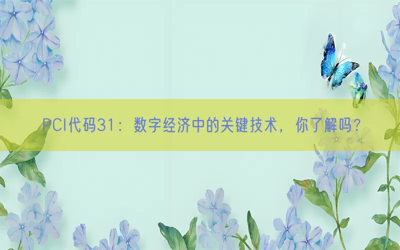 PCI代码31：数字经济中的关键技术，你了解吗？