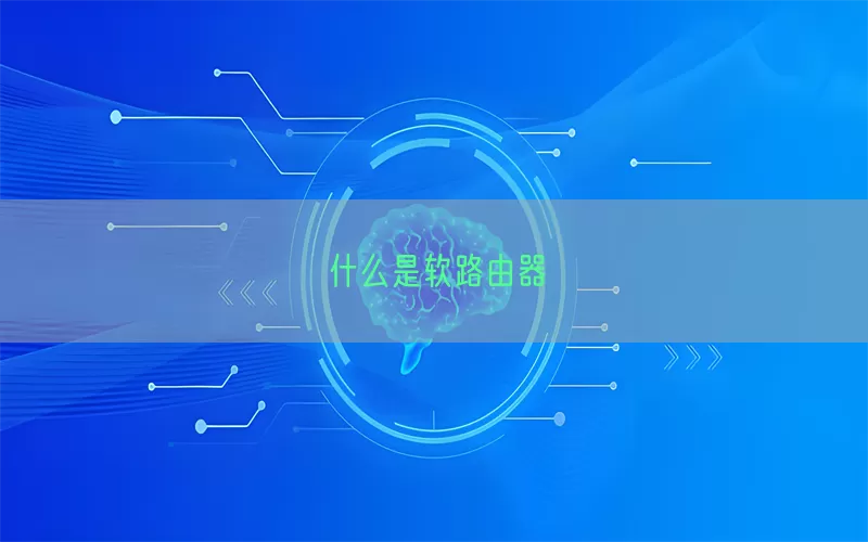 什么是软路由器