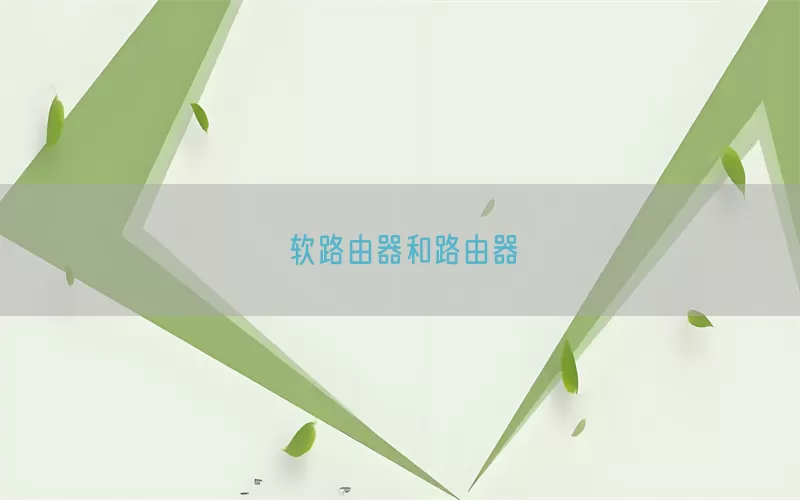 软路由器和路由器
