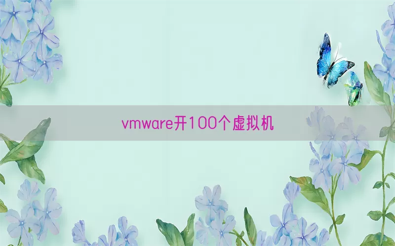 vmware开100个虚拟机