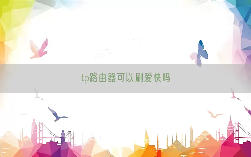 tp路由器可以刷爱快吗