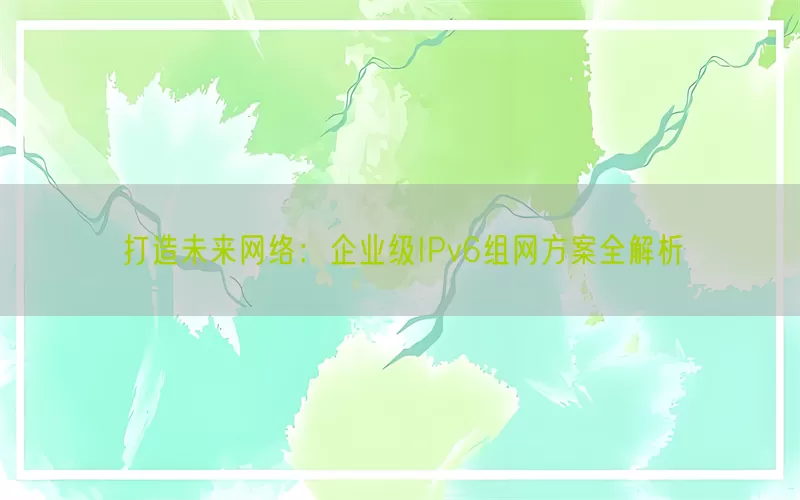 打造未来网络：企业级IPv6组网方案全解析