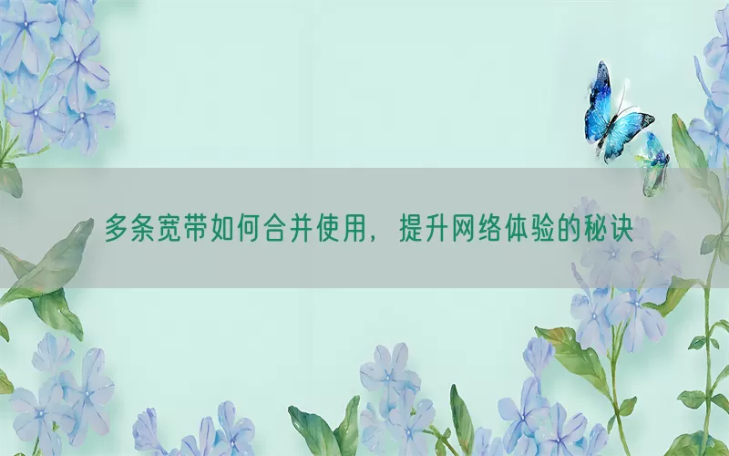多条宽带如何合并使用，提升网络体验的秘诀(pic1)
