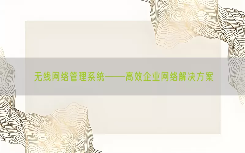 无线网络管理系统——高效企业网络解决方案(pic1)