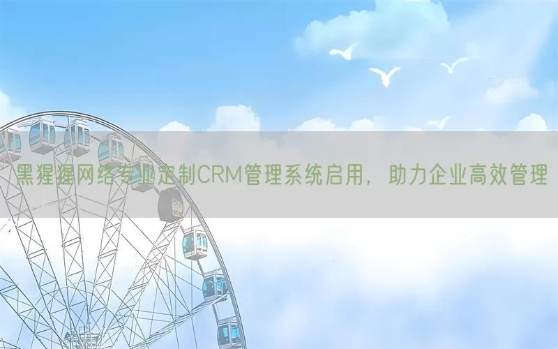 黑猩猩网络专业定制CRM管理系统启用，助力企业高效管理(pic1)