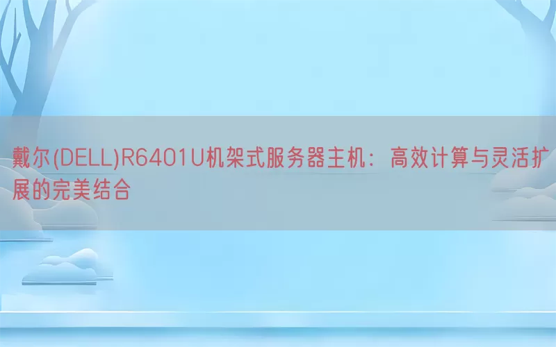 戴尔(DELL)R6401U机架式服务器主机：高效计算与灵活扩展的完美结合(pic1)