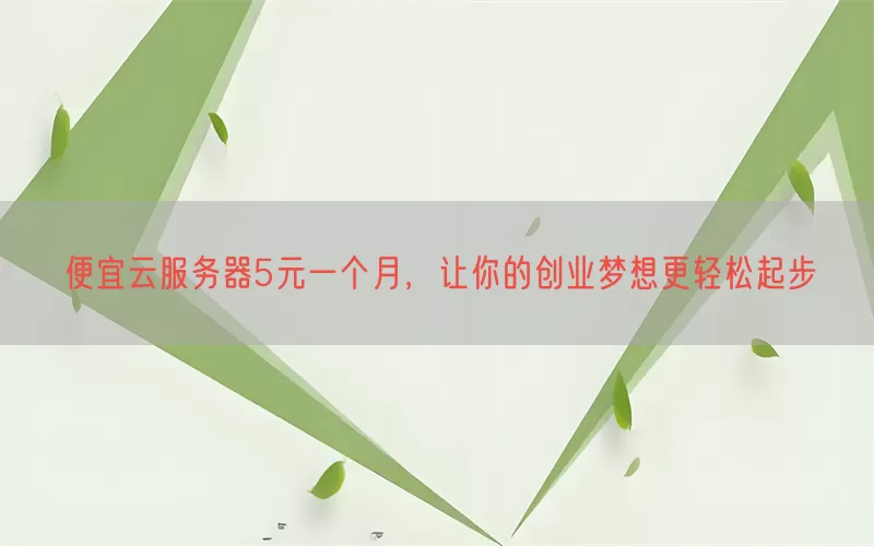 便宜云服务器5元一个月，让你的创业梦想更轻松起步