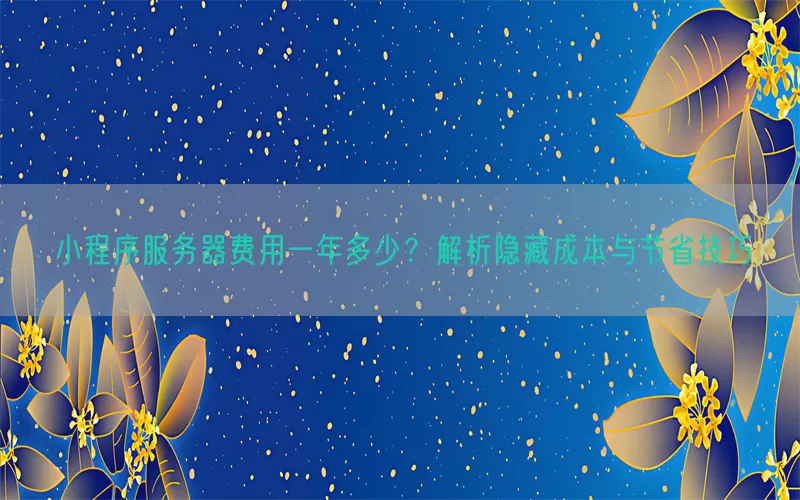 小程序服务器费用一年多少？解析隐藏成本与节省技巧(pic1)