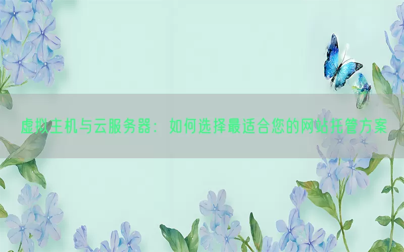 虚拟主机与云服务器:如何选择最适合您的网站托管方案