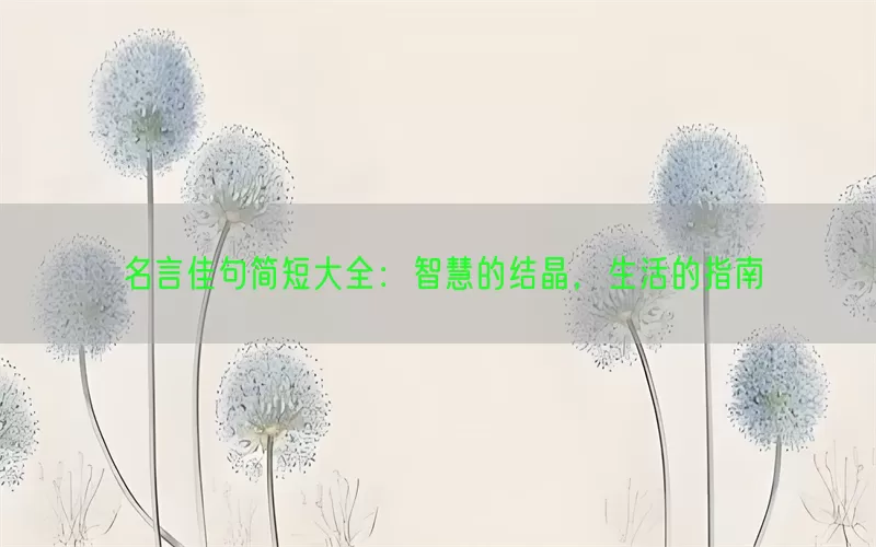 名言佳句简短大全：智慧的结晶，生活的指南