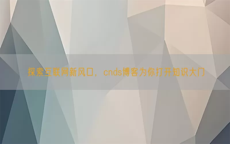 探索互联网新风口，cnds博客为你打开知识大门