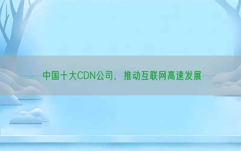 中国十大CDN公司，推动互联网高速发展