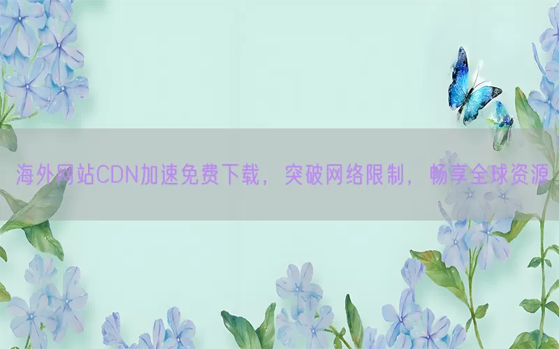 海外网站CDN加速免费下载,突破网络限制,畅享全球资源