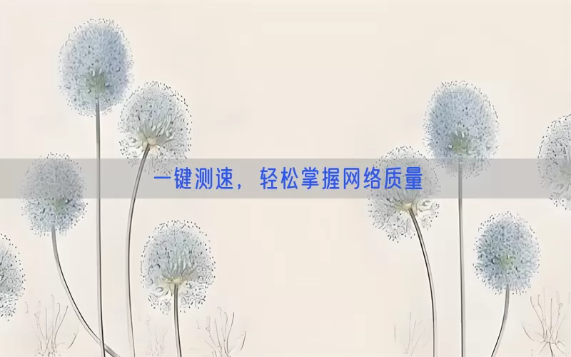 一键测速，轻松掌握网络质量