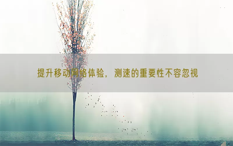 提升移动网络体验，测速的重要性不容忽视