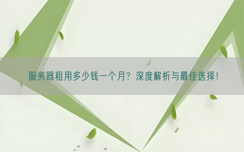 服务器租用多少钱一个月？深度解析与最佳选择！