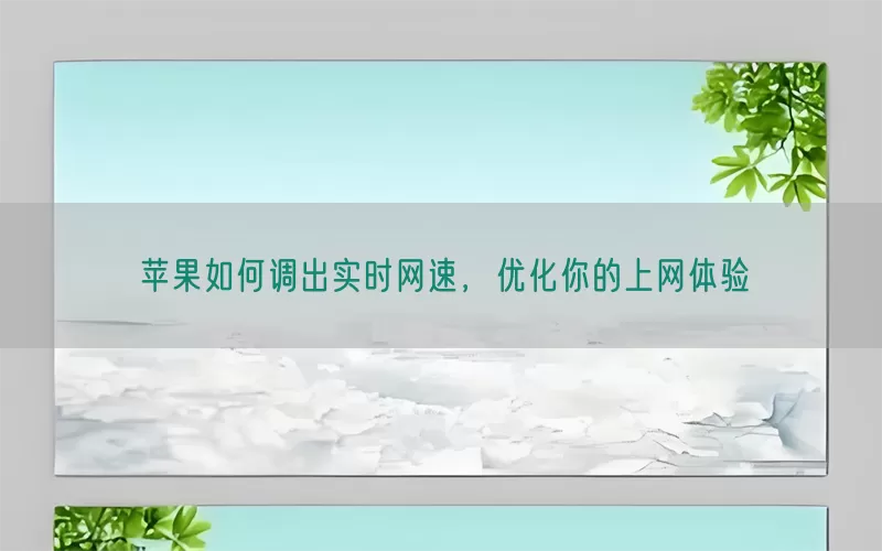苹果如何调出实时网速，优化你的上网体验