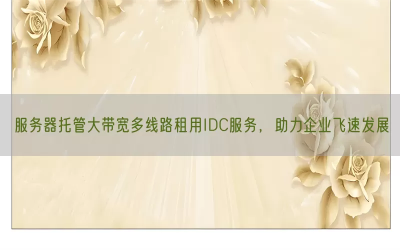 服务器托管大带宽多线路租用IDC服务，助力企业飞速发展