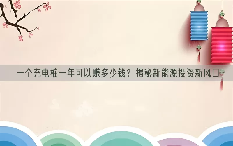 一个充电桩一年可以赚多少钱？揭秘新能源投资新风口(pic1)