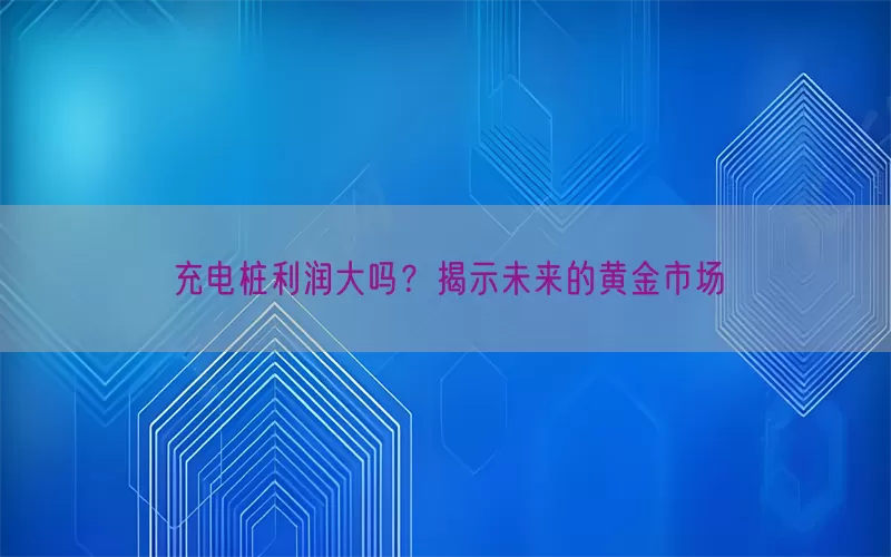 充电桩利润大吗？揭示未来的黄金市场(pic1)