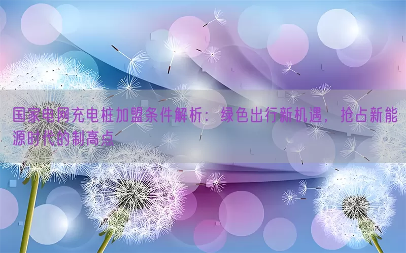 国家电网充电桩加盟条件解析：绿色出行新机遇，抢占新能源时代的制高点(pic1)