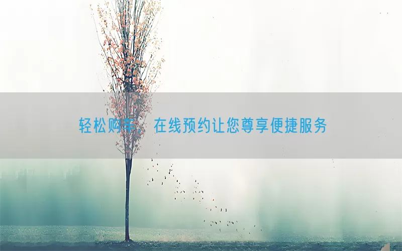 轻松购车，在线预约让您尊享便捷服务(pic1)