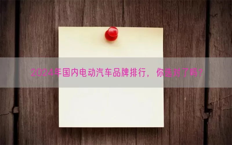 2024年国内电动汽车品牌排行，你选对了吗？(pic1)