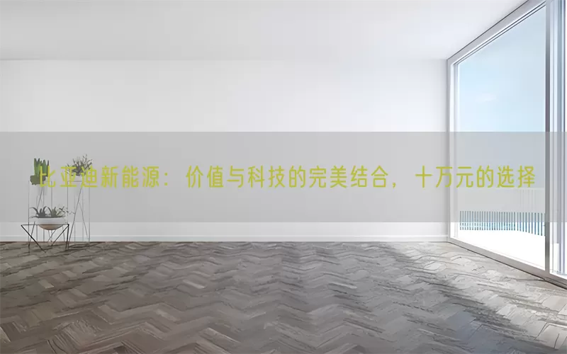 比亚迪新能源：价值与科技的完美结合，十万元的选择(pic1)