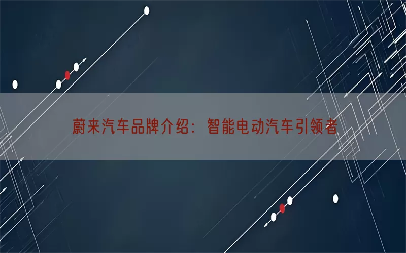 蔚来汽车品牌介绍：智能电动汽车引领者(pic1)