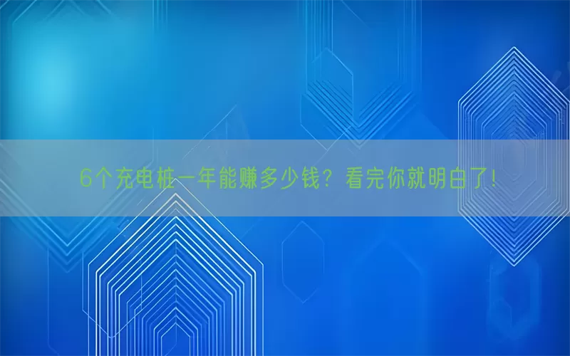 6个充电桩一年能赚多少钱？看完你就明白了！(pic1)