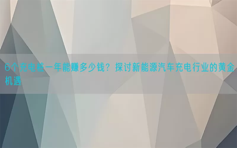 6个充电桩一年能赚多少钱？探讨新能源汽车充电行业的黄金机遇(pic1)