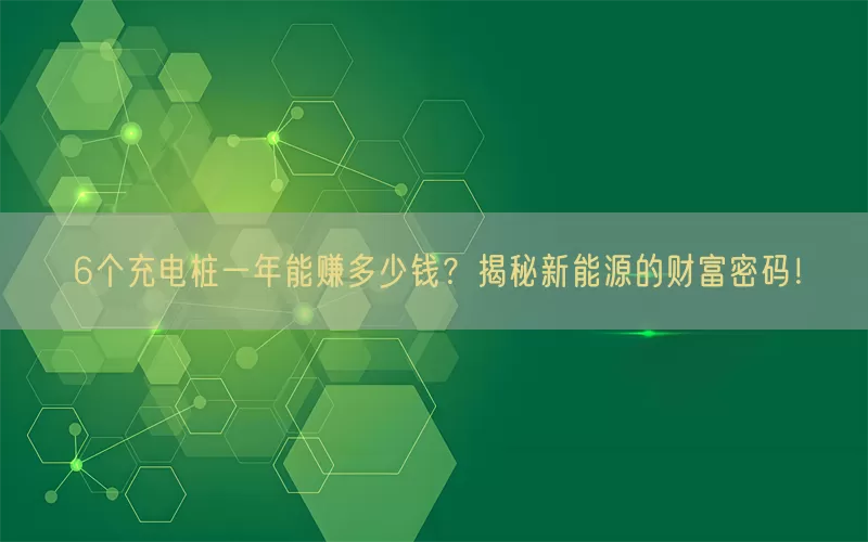 6个充电桩一年能赚多少钱？揭秘新能源的财富密码！(pic1)