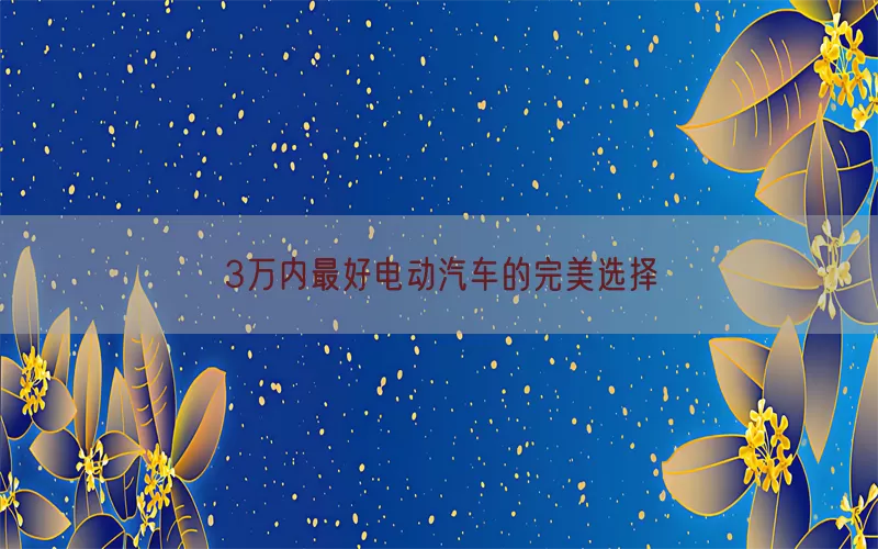 3万内最好电动汽车的完美选择(pic1)