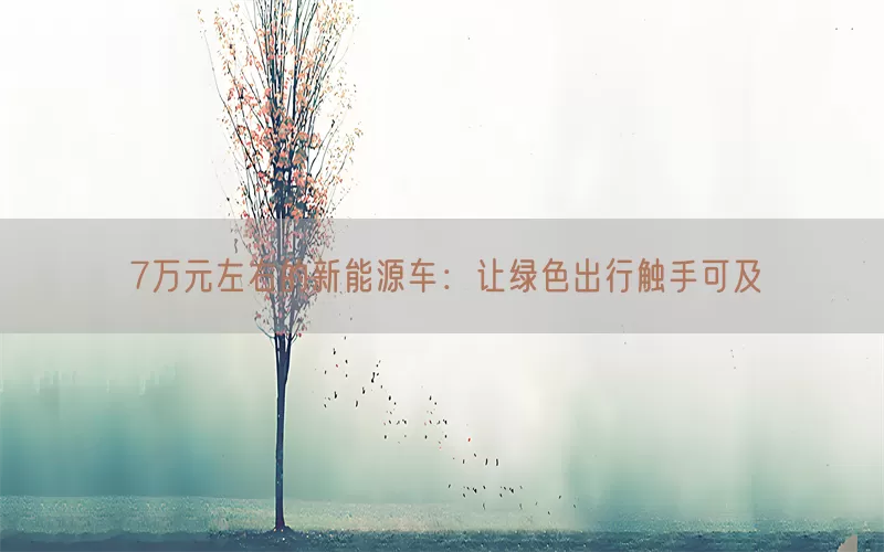 7万元左右的新能源车：让绿色出行触手可及(pic1)
