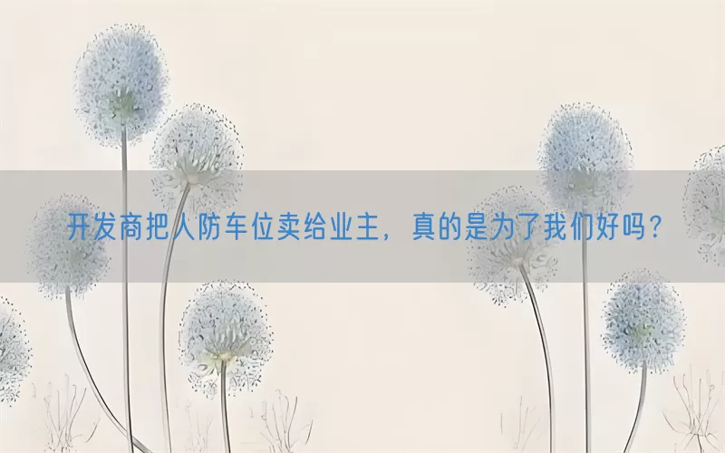开发商把人防车位卖给业主，真的是为了我们好吗？(pic1)