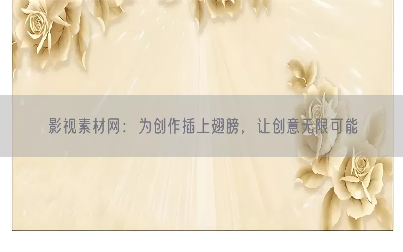 影视素材网：为创作插上翅膀，让创意无限可能(pic1)