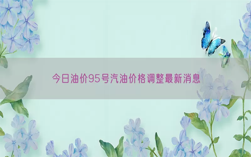 今日油价95号汽油价格调整最新消息(pic1)